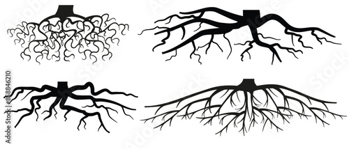 Various realistic tree or shrub roots. Parts of plant, root system with tree stump. Dendrology, study of woody plants. Sketch drawing. Vector illustration.  eps 10