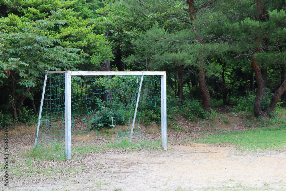 Light blue goal post and forest background