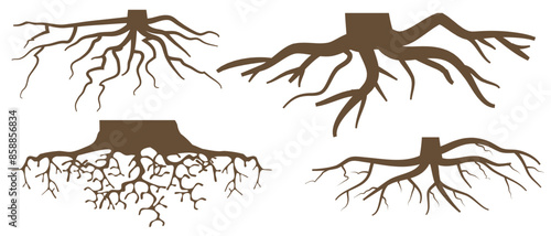 Various brown tree or shrub roots. Parts of plant, root system with tree stump. Dendrology, study of woody plants. Sketch drawing. Vector illustration. eps 10