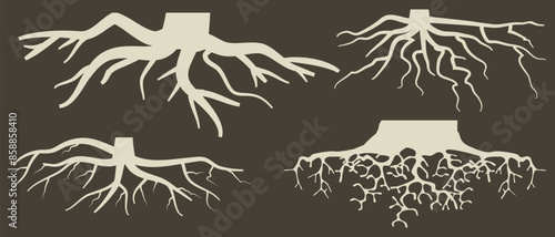 Various brown tree or shrub roots. Parts of plant, root system with tree stump. Dendrology, study of woody plants. Sketch drawing. Vector illustration. eps 10