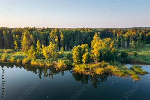 A magical quiet lake and coniferous forests on a sunny day from a bird's eye view.