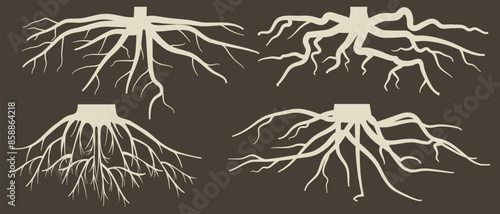 Various brown tree or shrub roots. Parts of plant, root system with tree stump. Dendrology, study of woody plants. Sketch drawing. Vector illustration. eps 10