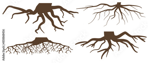 Various brown tree or shrub roots. Parts of plant, root system with tree stump. Dendrology, study of woody plants. Sketch drawing. Vector illustration. eps 10