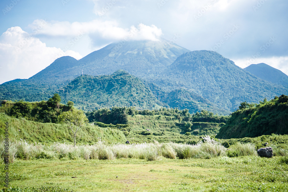 green savana with a mountain background green savana with a mountain background