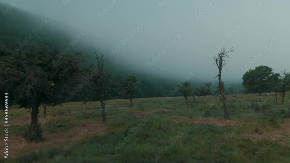 Misty fog envelops a lush mountainous terrain with trees and open fields, creating a serene countryside landscape Misty fog envelops a lush mountainous terrain with trees and open fields, creating a serene countryside landscape