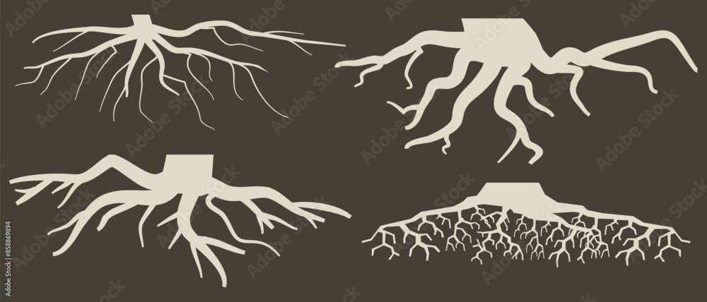 Various brown tree or shrub roots. Parts of plant, root system with ...