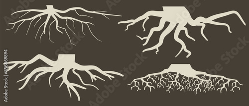 Various brown tree or shrub roots. Parts of plant, root system with tree stump. Dendrology, study of woody plants. Sketch drawing. Vector illustration. eps 10