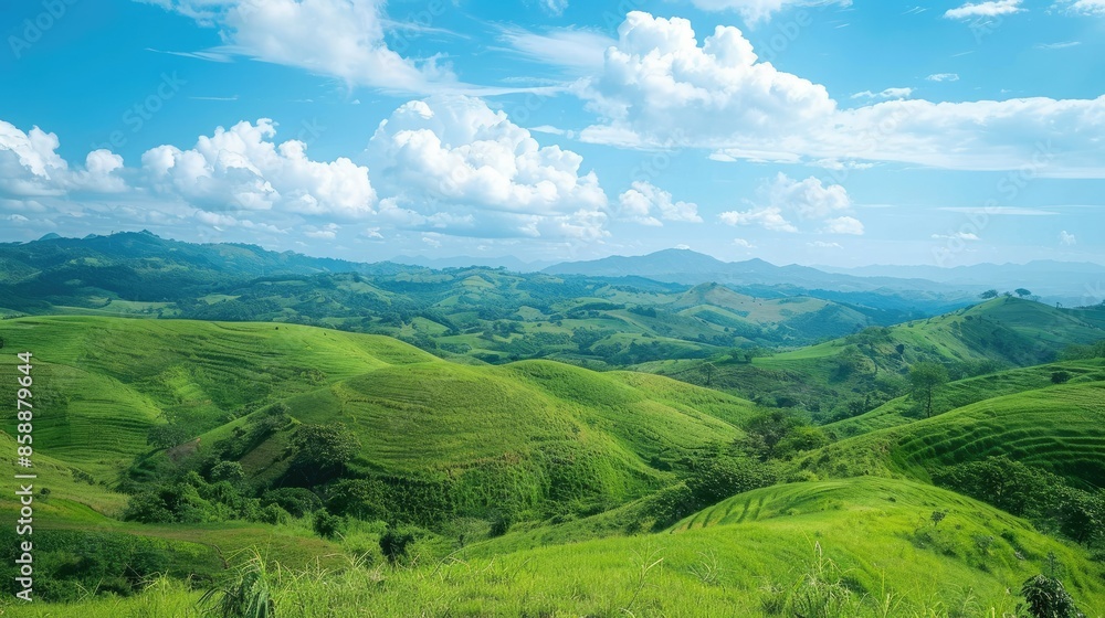 Rolling hills with a panoramic view of lush greenery and blue sky Rolling hills with a panoramic view of lush greenery and blue sky