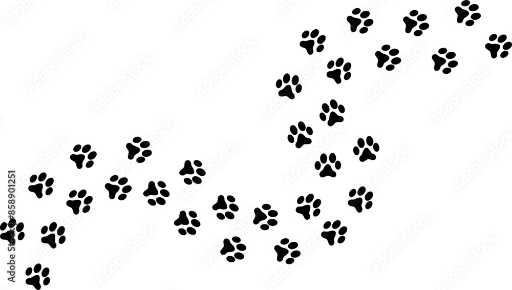 Fototapeta premium Cat Footprints