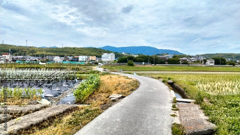 Japanese tourist spots and Japanese food