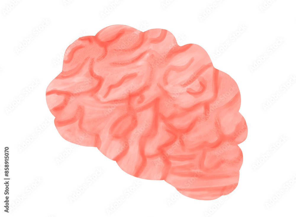Hand-drawn watercolor illustration of a human brain isolated on a white background. Hand-drawn watercolor illustration of a human brain isolated on a white background.