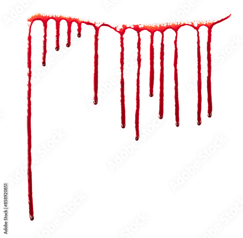 Dripping blood isolated on white background. Flowing bloody stains, splashes and drops. Trail and drips red blood close up