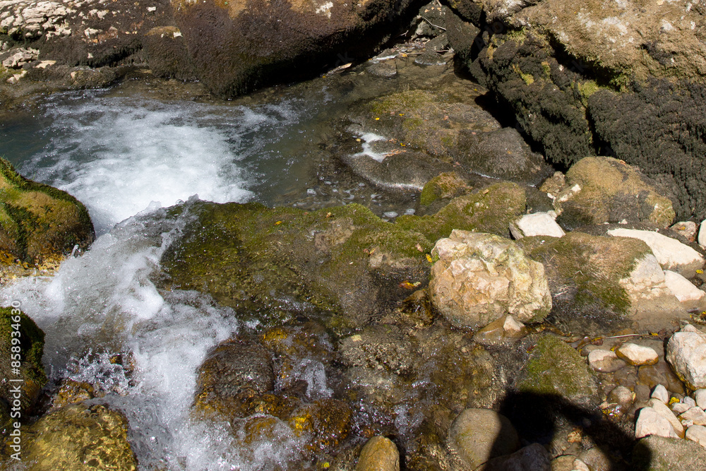 Fototapeta premium Shallow riverbed with exposed rocky bottom, lack of flow and water flow, in autumn in nature
