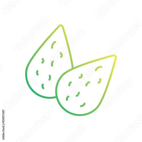 Almond vector icon