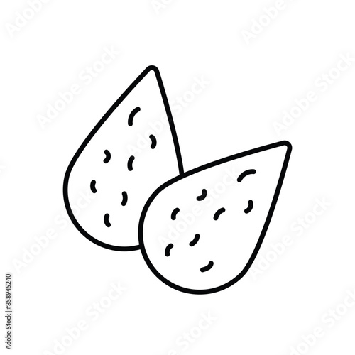 Almond vector icon
