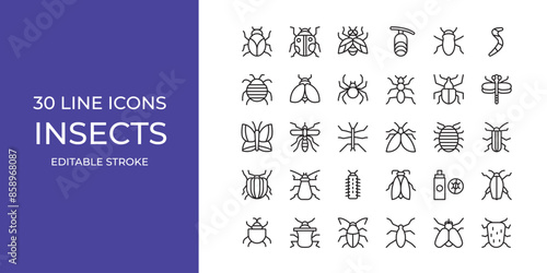 Insects icon set vector illustration stroke editable. bugs, ant, spider and more
