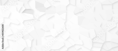 Abstract white and gray broken stained glass background design with line. geometric pattern with 3d shapes vector Illustration. white broken wall paper in decoration.	
