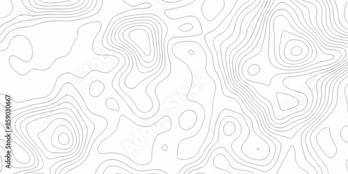 White wave paper curved reliefs abstract background. The topographic map contour in lines isolated. Abstract white topographic map background with lines. Background of the topography map.
