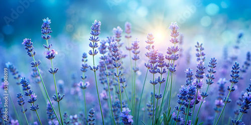 serene background with calming shades of lavender and light blue., generative ai photo