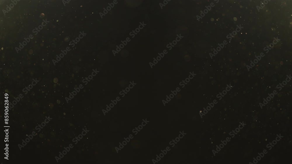 Slow motion real dust particles floating in the air indoor with natural sun light Slow motion real dust particles floating in the air indoor with natural sun light