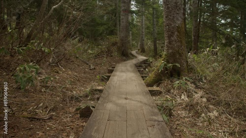 森の奥へと続く尾瀬の木道