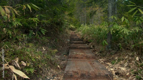 尾瀬の木道　沼山峠