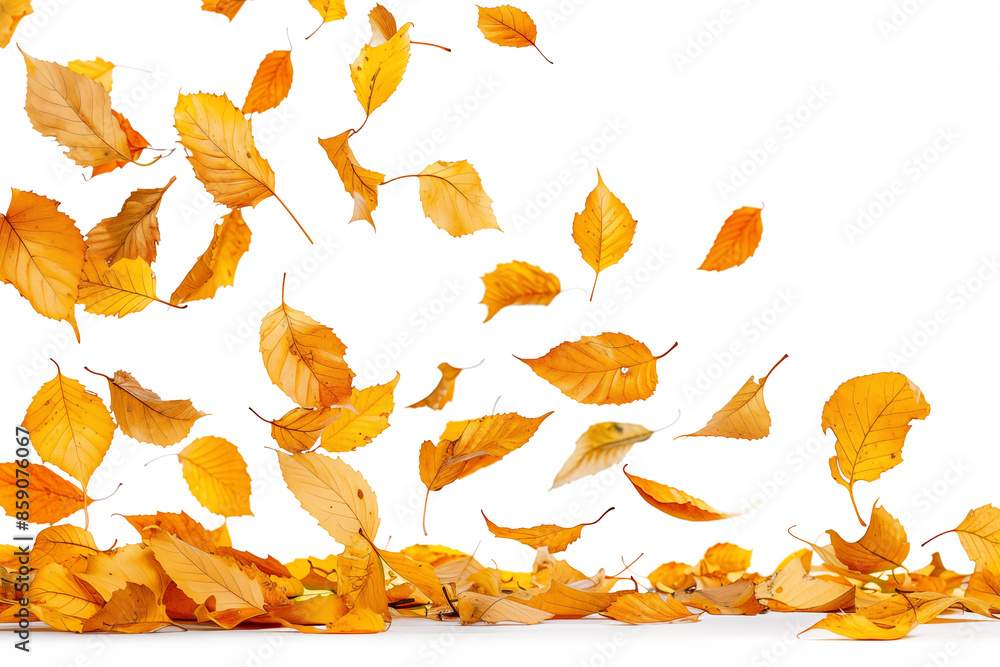 Photo of vibrant yellow and orange leaves falling on transparent background, png file. Fall season, autumn in nature, autumnal overlay Photo of vibrant yellow and orange leaves falling on transparent background, png file. Fall season, autumn in nature, autumnal overlay