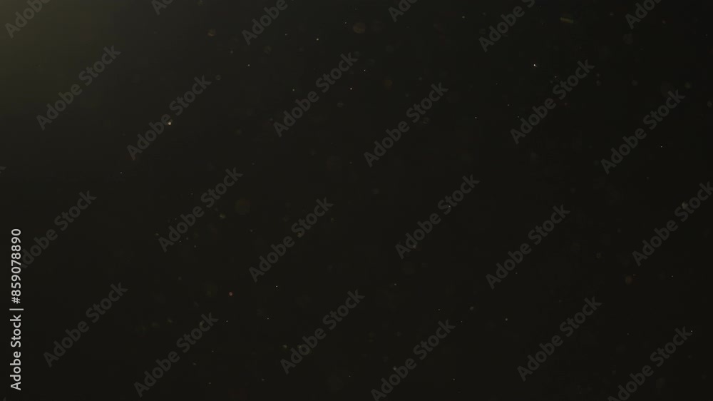 Slow motion real dust particles floating in the air indoor with natural sun light Slow motion real dust particles floating in the air indoor with natural sun light