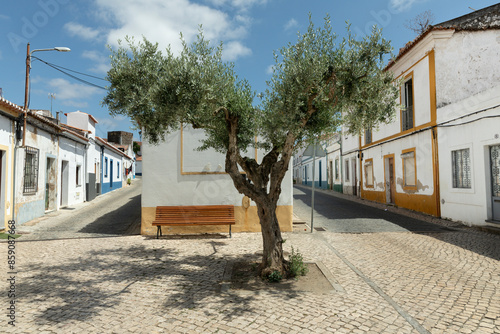 Olivenbaum vor malerischen Gassen in Beja, Portugal photo