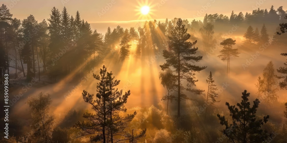 Sunbeams Through a Misty Forest Sunbeams Through a Misty Forest