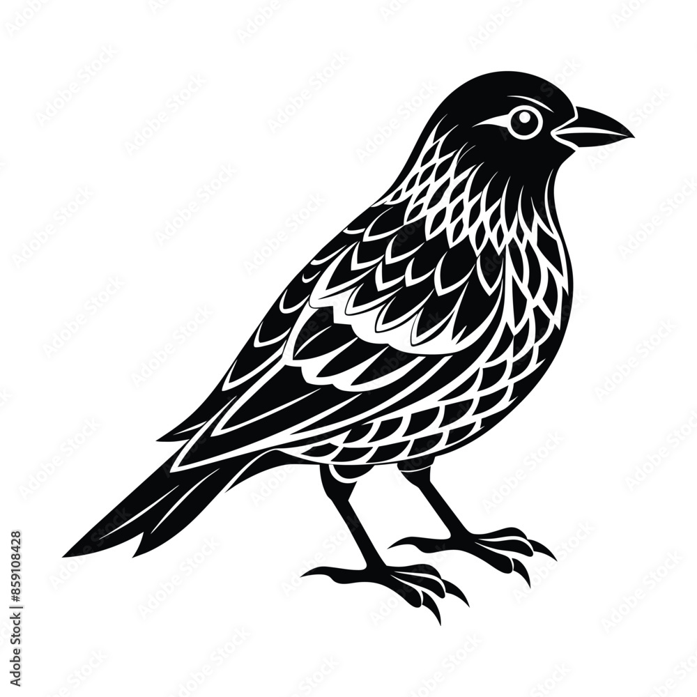 Obraz premium Bird sihlouette