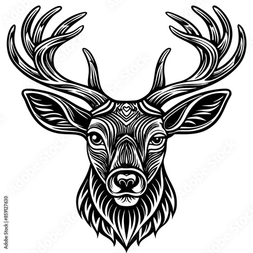 antler head, deer head illustration
