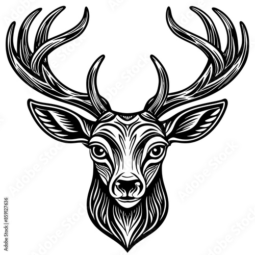 antler head, deer head illustration

