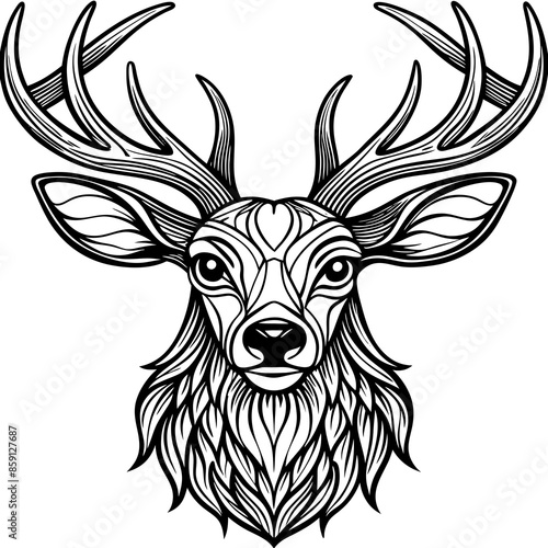 antler head, deer head illustration
