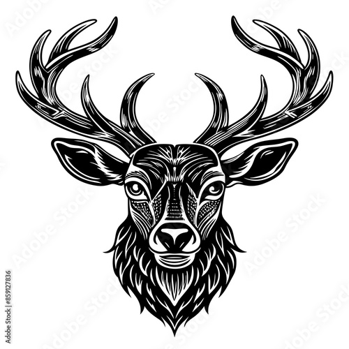 antler head, deer head illustration
