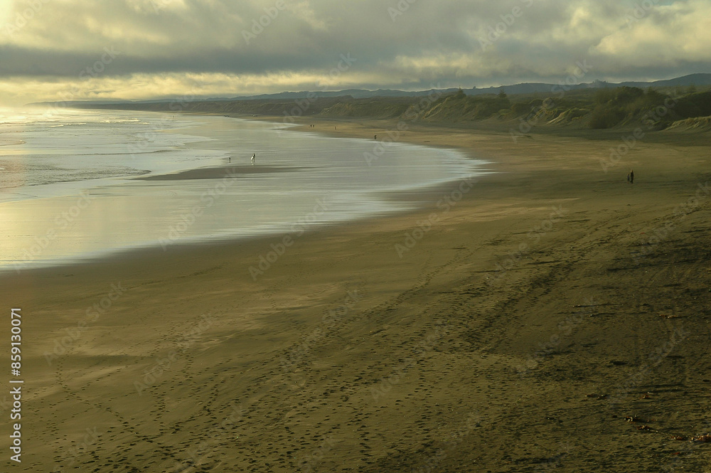 Strolling on the beach under the winter sun in New Zealand Strolling on the beach under the winter sun in New Zealand