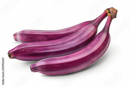 Fascinating Purple Bananas Isolated on White Background Unusual and Eye Catching Tropical Fruit Variety in Unique Color Explore the Exotic and Vibrant Hue of These Intriguing Bananas photo