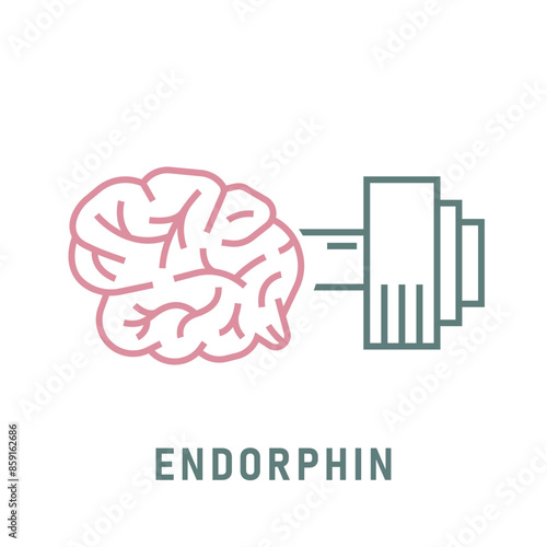 Endorphin icon in outline style. Happy hormone sign.