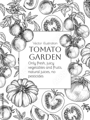 Vector frame of tomatoes in engraving style. Cherry tomato on a branch with a leaf, whole tomatoes, half, slice and piece