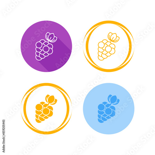 Berries Vector Icon