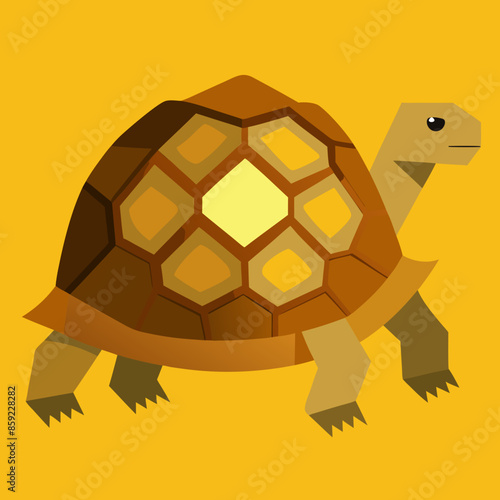 vector illustration sulcata-tortoise 