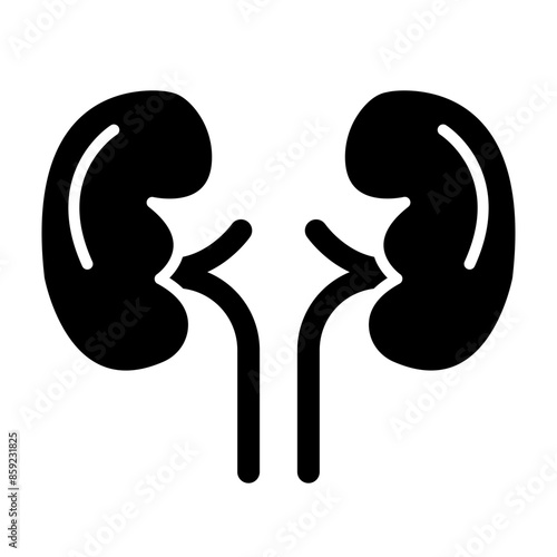Kidneys Glyph Icon