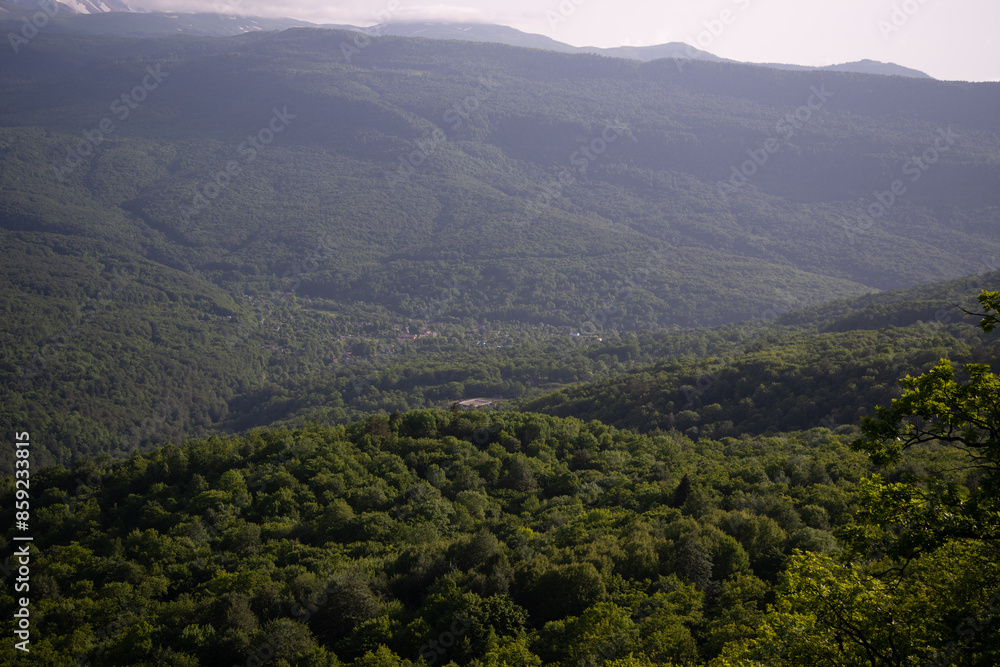 Fototapeta premium Caucasus National Park. Beautiful nature. Spring.