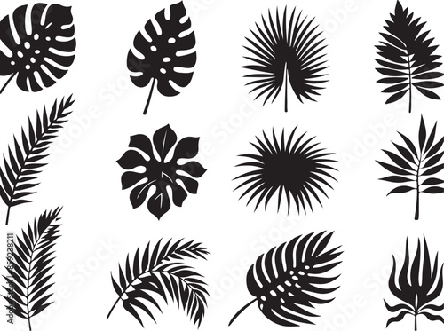 Palm Leaves, Monstera & More. Vector Illustration