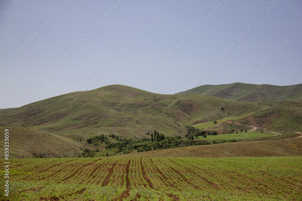 Beautiful landscapes and gardens around the city of Saqoz, Kurdistan province of Iran in May, IRAN Beautiful landscapes and gardens around the city of Saqoz, Kurdistan province of Iran in May, IRAN