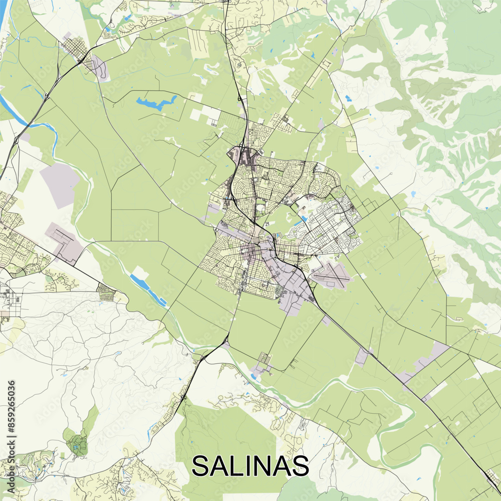 Fototapeta premium Salinas, California, USA map poster art