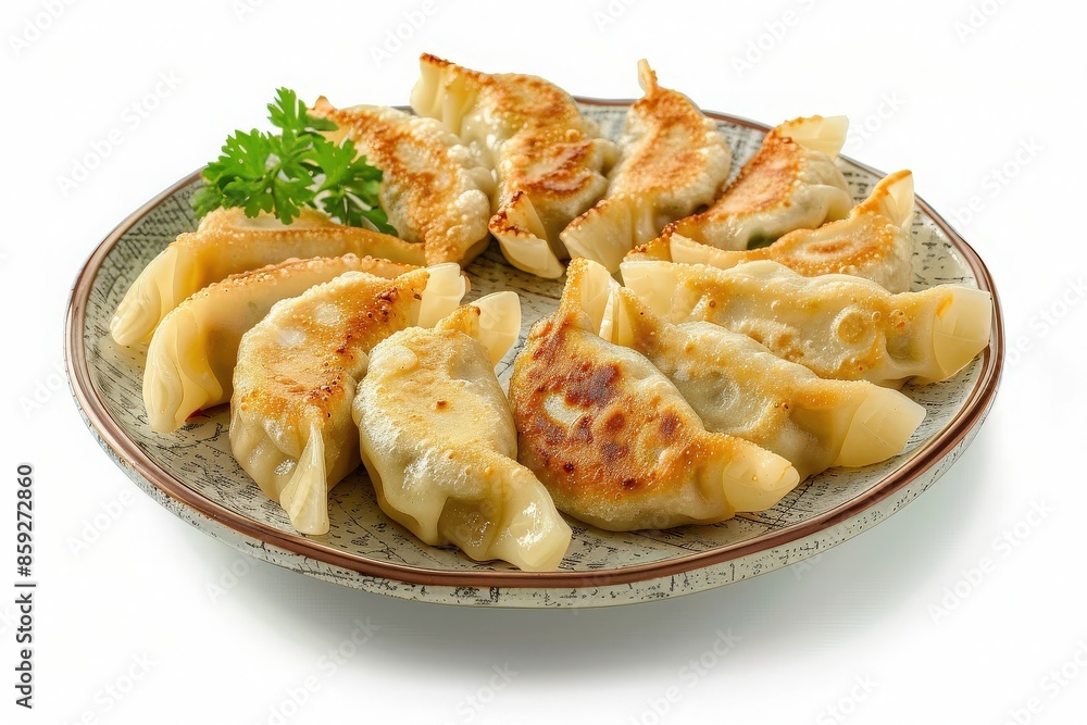 A serving of gyoza dumplings on a ceramic plate, isolated on a solid white background A serving of gyoza dumplings on a ceramic plate, isolated on a solid white background