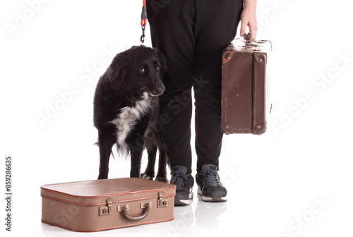 cute dog go to travel with is human