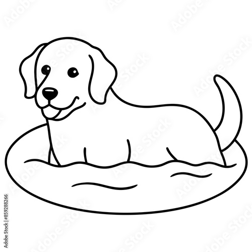 Dog breeds coloring pages