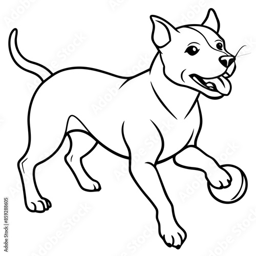 Dog breeds coloring pages